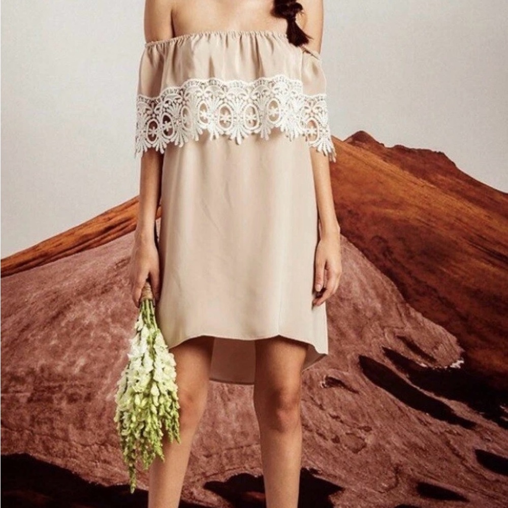 Stone Cold‎ Fox Strapless Beige Dress with White Lace